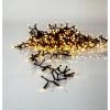 Star Trading LED-Lichterkette Golden, 11 m, 540 LED Outdoor