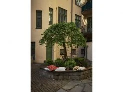 Star Trading LED-Lichterkette Golden, 11 m, 540 LED Outdoor -Weihnachtsbeleuchtung Verkäufe 183348392 xxl 1