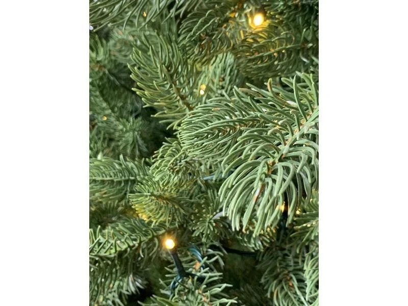 Botanic-Haus Weihnachtsbaum De Luxe 352 LEDs Easy Shape, 180 cm 2 Botanic-Haus Weihnachtsbaum De Luxe 352 LEDs Easy Shape, 180 cm – Bild 2