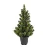 Botanic-Haus Weihnachtsbaum Tannenbaum im Topf, 51 cm