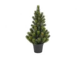Botanic-Haus Weihnachtsbaum Tannenbaum im Topf, 51 cm
