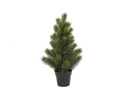 Botanic-Haus Weihnachtsbaum Tannenbaum im Topf, 41 cm
