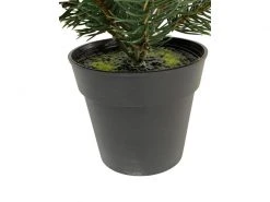 Botanic-Haus Weihnachtsbaum Tannenbaum im Topf, 41 cm -Weihnachtsbeleuchtung Verkäufe 184258424 xxl