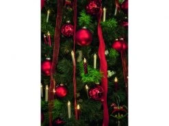 Lumix LED Baumkerze SuperLight Mini, Rot, 12er-Starter Set -Weihnachtsbeleuchtung Verkäufe 185564689 xxl