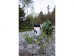 Star Trading LED Grabkerze Dandelion Ø 7 x 12 cm, Weiss -Weihnachtsbeleuchtung Verkäufe 188027999 xxl