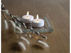 Star Trading LED Teelichter Set Flamme Ø 5.8 x 5.5 cm, Weiss, 2 Stk -Weihnachtsbeleuchtung Verkäufe 193861116 xxl