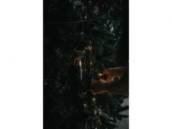 Star Trading Weihnachtsbaum Calgary 250 cm, outdoor -Weihnachtsbeleuchtung Verkäufe 209130295 xxl