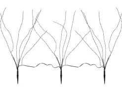 Star Trading Baum Reedy 3-fach, 180 LEDs, 60 cm, Schwarz