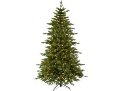 Star Trading Weihnachtsbaum Larvik, 2.1 m, Grün, 600 LED