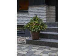 Star Trading Weihnachtsbaum Busk, 40 LEDs, 75 cm, Grün 6 Star Trading Weihnachtsbaum Busk, 40 LEDs, 75 cm, Grün -Weihnachtsbeleuchtung Verkäufe 225466630 xxl