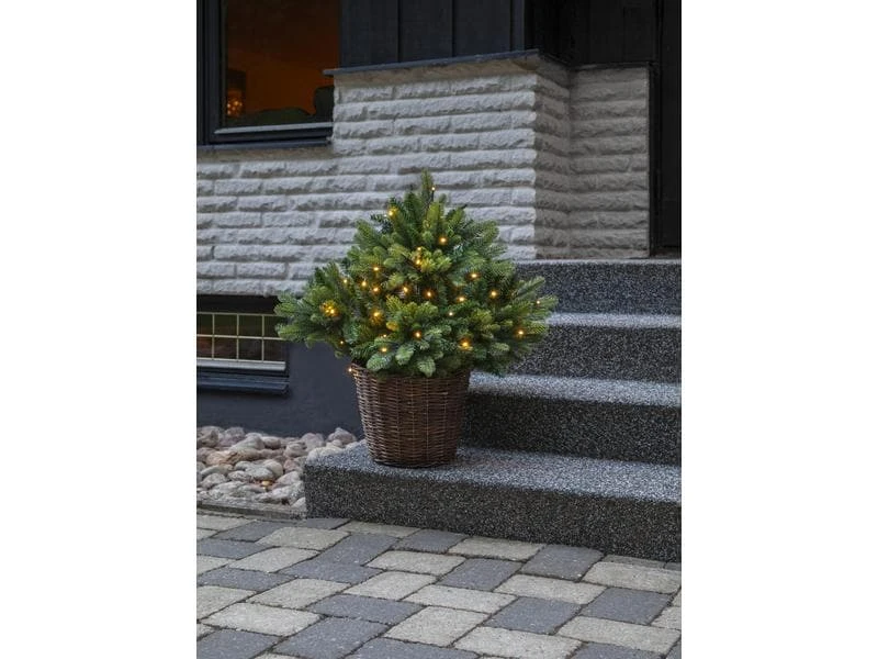 Star Trading Weihnachtsbaum Busk, 40 LEDs, 75 cm, Grün 3 Star Trading Weihnachtsbaum Busk, 40 LEDs, 75 cm, Grün – Bild 3