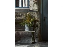 Star Trading Baum Reedy, 0.9 m, Schwarz, 160 LED -Weihnachtsbeleuchtung Verkäufe 225468150 xxl