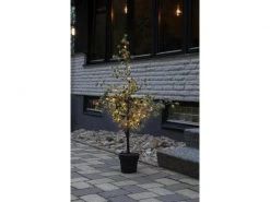Star Trading Baum Larix, 1.17 m, Grün, 40 LED -Weihnachtsbeleuchtung Verkäufe 225474366 xxl
