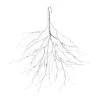 STT Hängender Ast, 50 cm, Weiss