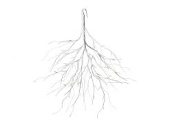 STT Hängender Ast, 50 cm, Weiss