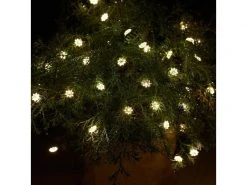 Sirius Silke 3.9 m Blume Grün