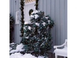 Sirius LED-Lichternetz David 100 LED 100 × Lampen -Weihnachtsbeleuchtung Verkäufe 52254859 xxl