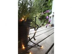 Star Trading Lichterkette Erweiterungssystem Expo, 50 LED 5 m -Weihnachtsbeleuchtung Verkäufe 52793875 xxl