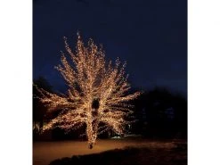 Star Trading Lichterkette Erweiterungssystem Expo, 50 LED 5 m -Weihnachtsbeleuchtung Verkäufe 53050842 xxl