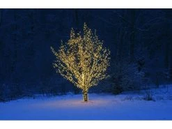 Star Trading Lichterkette Erweiterungssystem Expo, 50 LED 5 m -Weihnachtsbeleuchtung Verkäufe 53050987 xxl