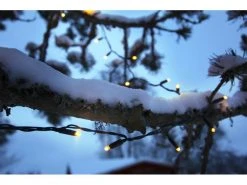 Star Trading Lichtervorhang Erweiterungssystem 24, 49 LED 3 m -Weihnachtsbeleuchtung Verkäufe 53080016 xxl