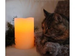 Star Trading LED-Kerze Big Ø 10 x 15 cm, Beige -Weihnachtsbeleuchtung Verkäufe 53319091 xxl