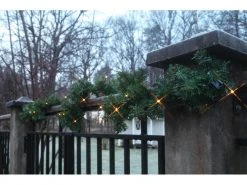 Star Trading LED-Girlande Canadian 2.5 m Grün, 30 LED, Outdoor -Weihnachtsbeleuchtung Verkäufe 53403125 xxl
