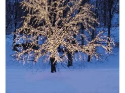 Star Trading Lichterkette Erweiterungssystem LED 30 LED 3 m -Weihnachtsbeleuchtung Verkäufe 53529286 xxl