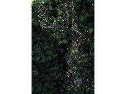 Sirius LED Lichterkette Angel Hair Knirke Cluster 3.6 m Grün -Weihnachtsbeleuchtung Verkäufe 57544807 xxl