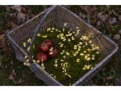 Sirius LED Lichterkette Angel Hair Trille Cluster 2 m Stern Grün