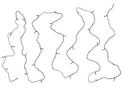 Sirius LED-Lichterkette David, 300 LEDs, 45 m, Outdoor